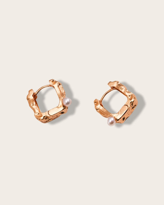 Stellar Beauty Earrings
